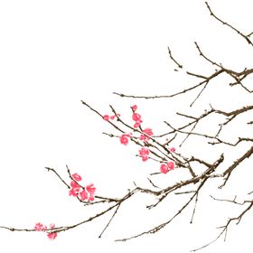 梅花树枝元素