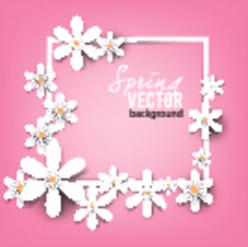雏菊小菊花花草小碎花