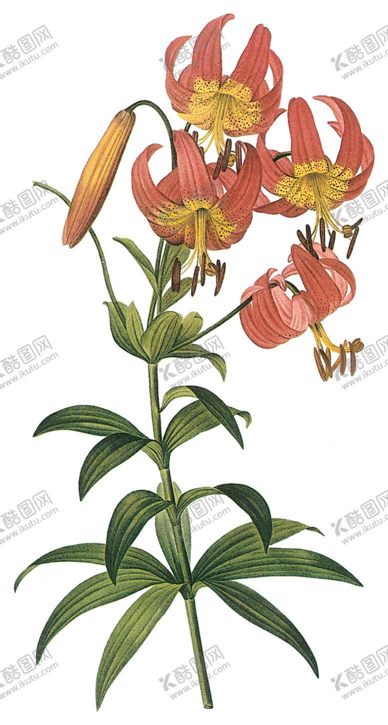 编号：30112810261622105517【酷图网】源文件下载-植物花卉油画装饰画