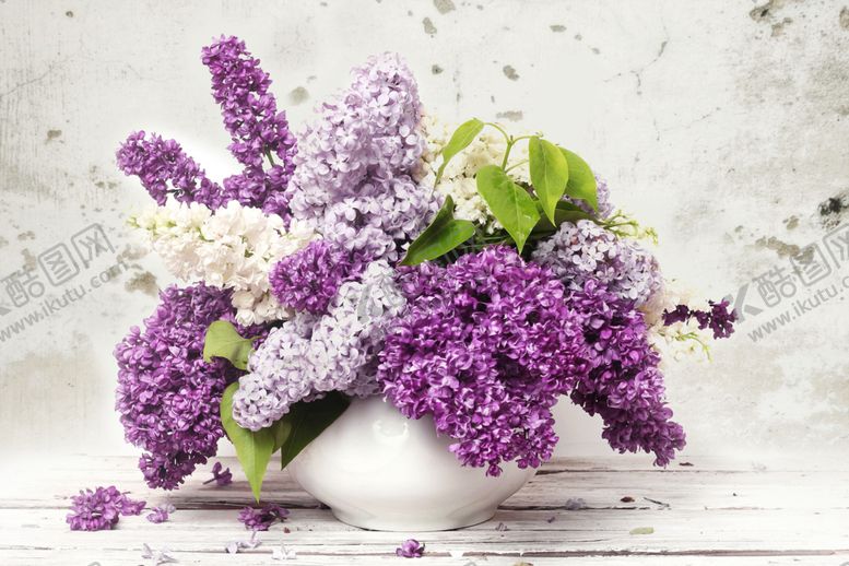 编号：33240609181918272051【酷图网】源文件下载-装饰花卉