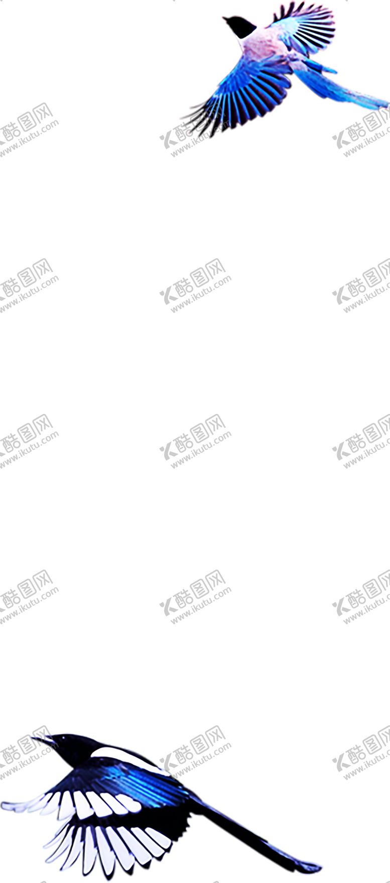 编号：81332209141505087599【酷图网】源文件下载-浪漫素材