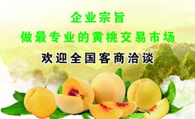 蜜桃名片
