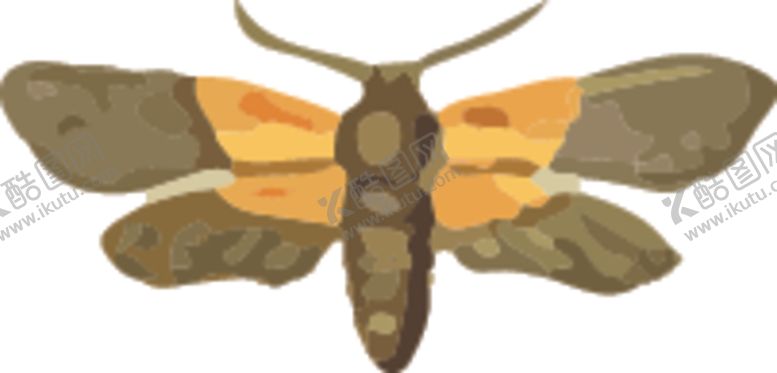 编号：39645106272204427963【酷图网】源文件下载-飞蛾昆虫插画