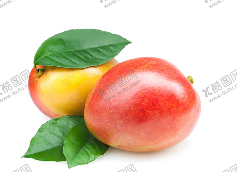 编号：60896409112336118462【酷图网】源文件下载-油桃