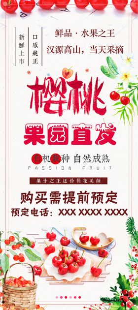樱桃采摘
