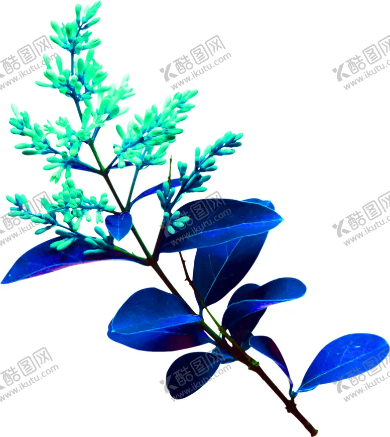 编号：30390706232119137988【酷图网】源文件下载-花素材