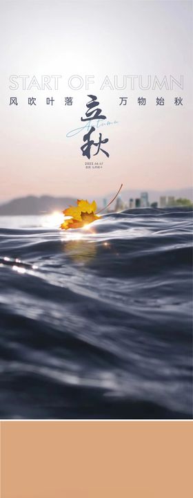 立秋节气海报二十四夕阳面落叶