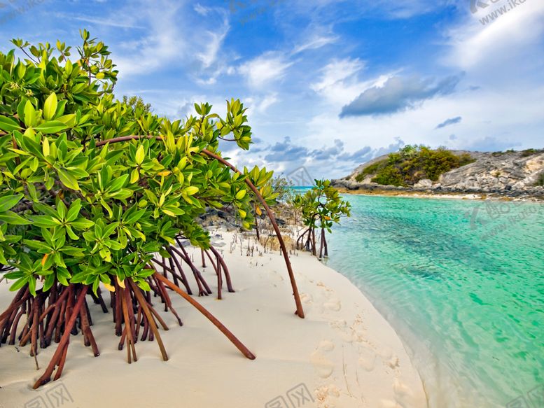 编号：49051209290139573297【酷图网】源文件下载-湖景江景树林天空湖水