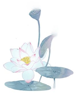 荷花元素