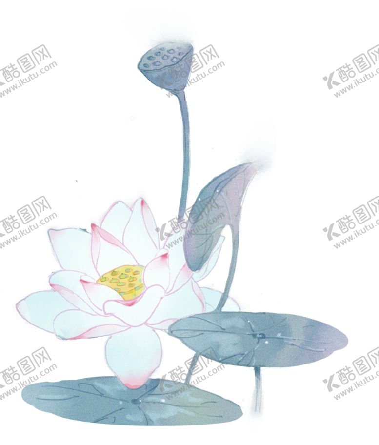 编号：93369305021026577640【酷图网】源文件下载-荷花元素