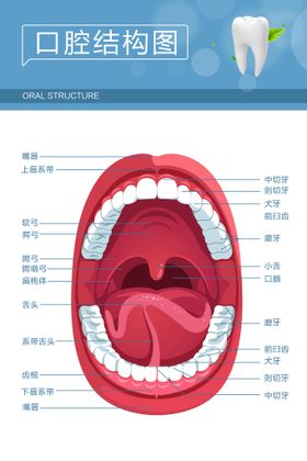 财务部结构图