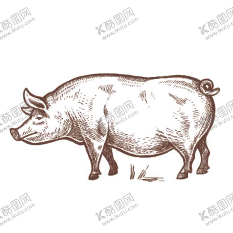 编号：74612009270149427243【酷图网】源文件下载-家养动物主题插画