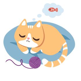 卡通猫