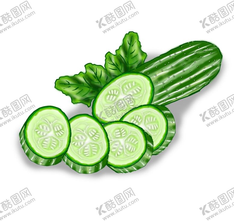编号：86856505141602164020【酷图网】源文件下载-切片黄瓜插画