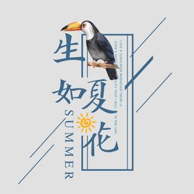 海报板式设计