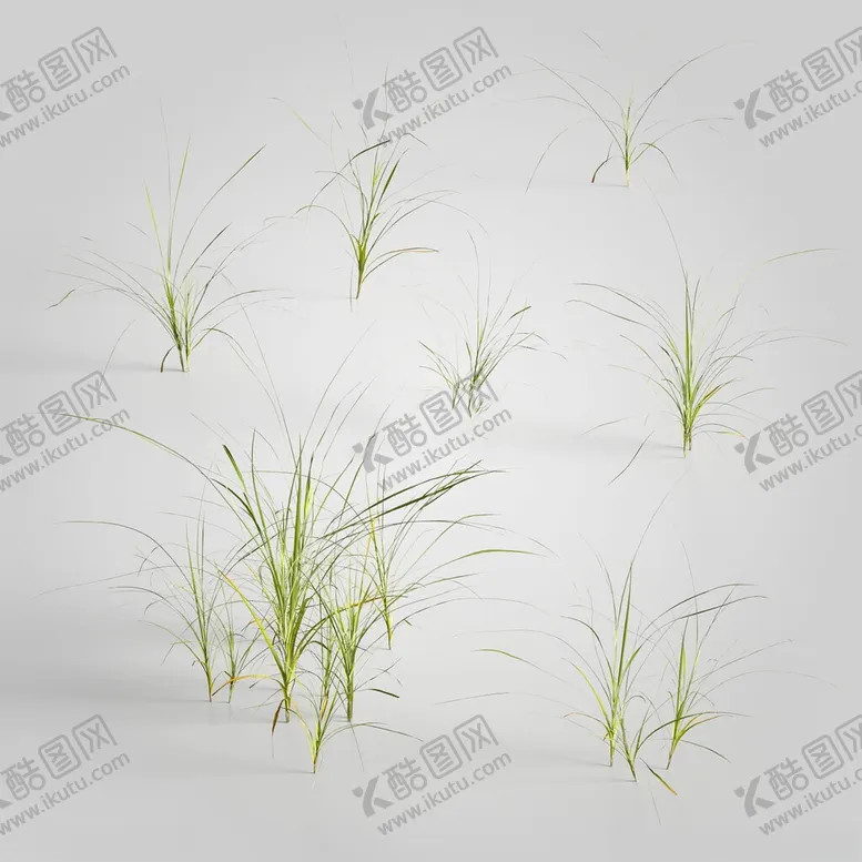编号：30045102171723418522【酷图网】源文件下载-C4D模型绿色植物