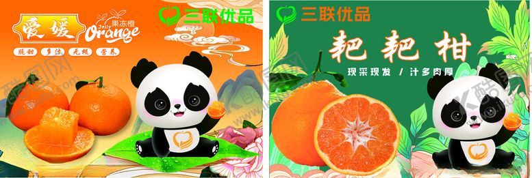 编号：79410202030844171737【酷图网】源文件下载-耙耙柑宣传单