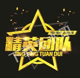 精英团队