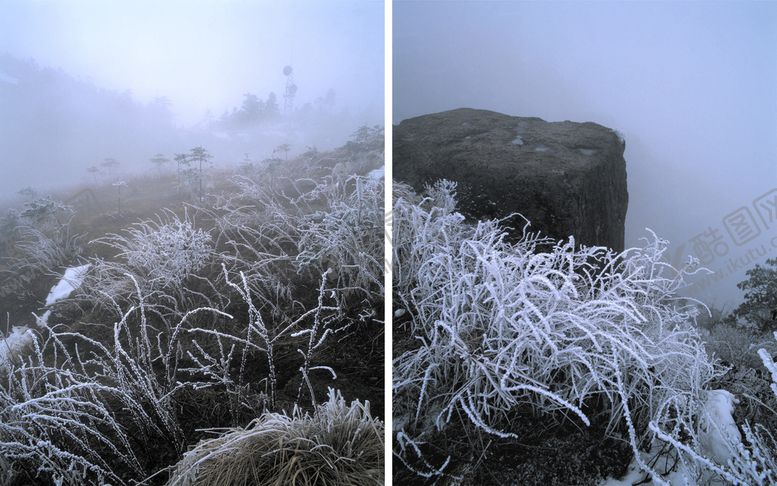 编号：92204210241401214296【酷图网】源文件下载-树枝雪景