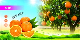 脐橙橙子