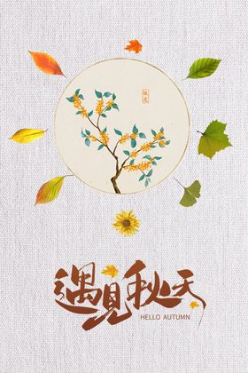 遇见秋天