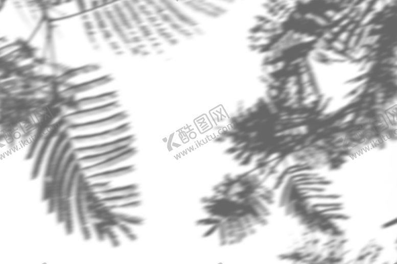 编号：61188309202106401100【酷图网】源文件下载-树影