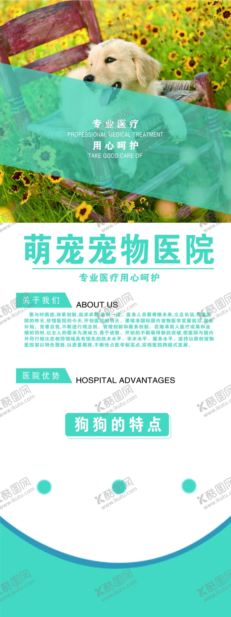 编号：08492309242003480758【酷图网】源文件下载-宠物店展架