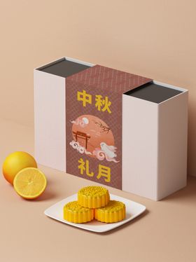 月饼包装样机