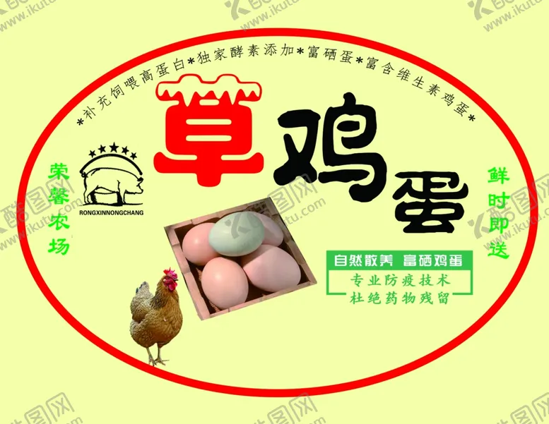 编号：35872102230138348310【酷图网】源文件下载-草鸡蛋