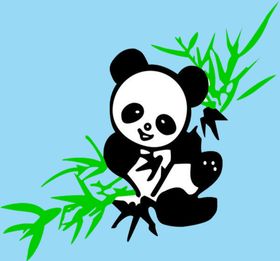 吃竹子国宝大熊猫