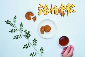 中秋节海报 中秋宣传页