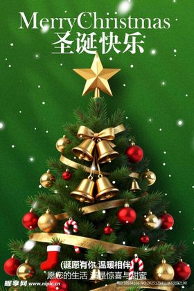圣诞装饰圣诞树节日海报
