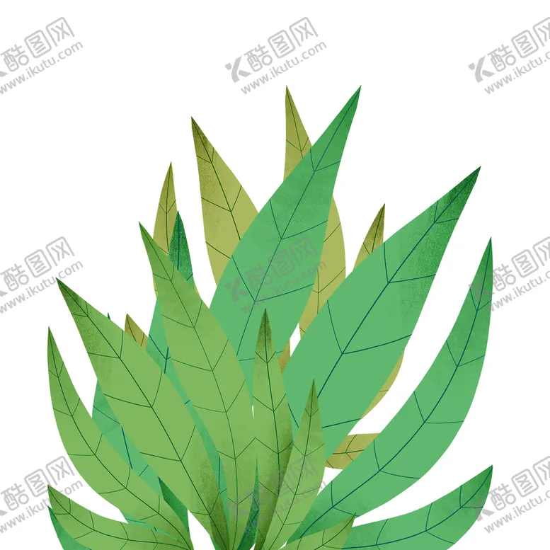 编号：87940209300907174176【酷图网】源文件下载-夏季植物树叶元素