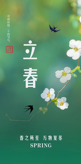 简约清新立春节气教育行业海报