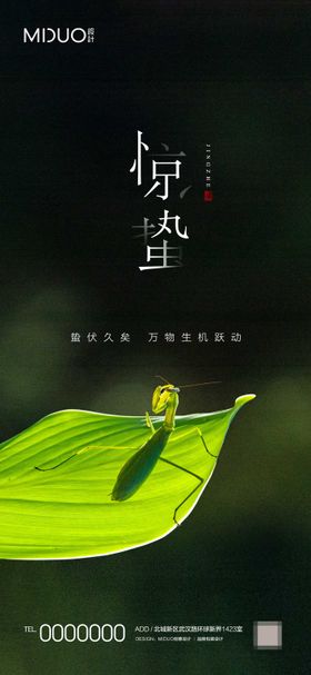 惊蛰节气海报螳螂二十四叶子