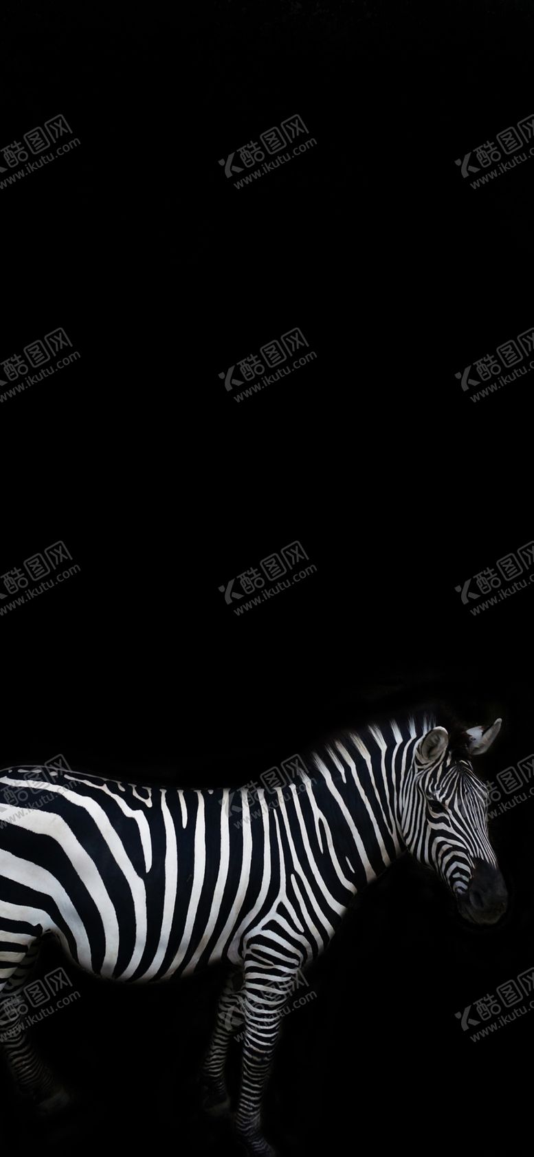 编号：76830807010806536073【酷图网】源文件下载-手机壁纸