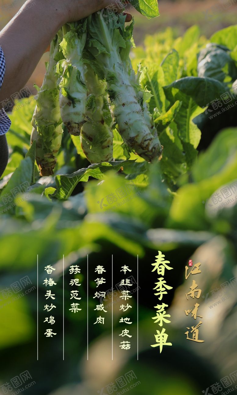 编号：66368306170151194068【酷图网】源文件下载-春季菜单