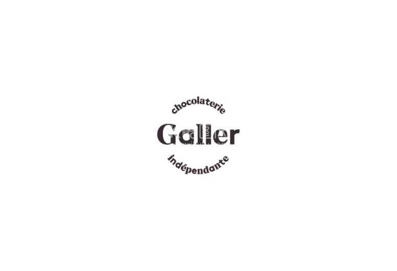 编号：88521112071104496918【酷图网】源文件下载-GALLER伽列Logo