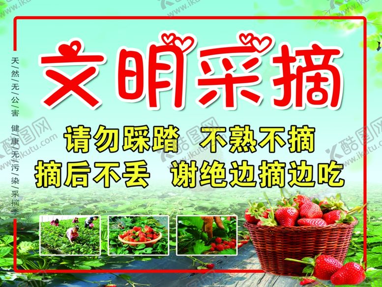 编号：42266701210519492377【酷图网】源文件下载-摘草莓