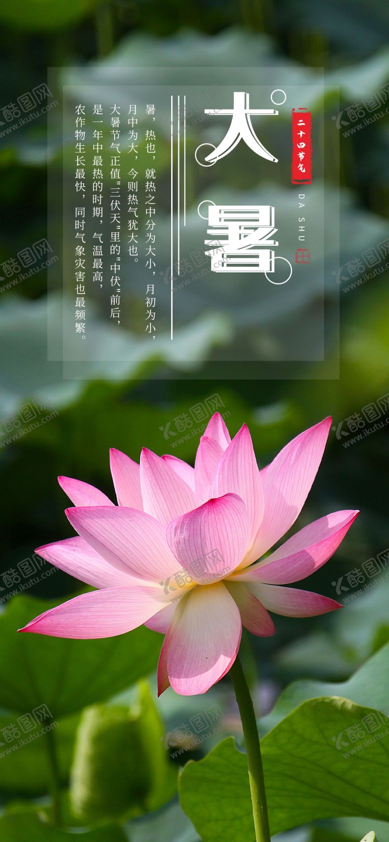 编号：56473906232140237155【酷图网】源文件下载-手机壁纸