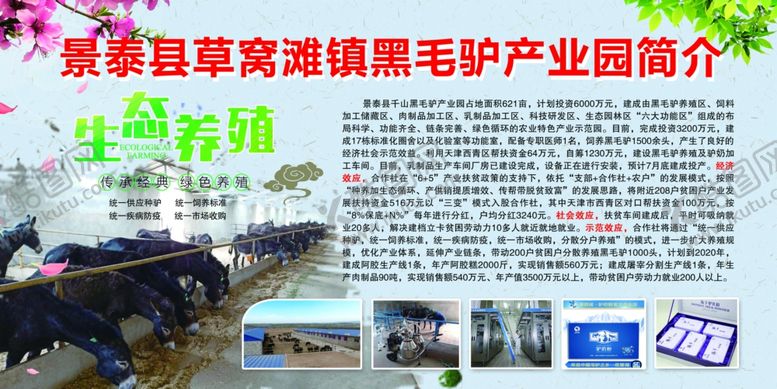 编号：56723609212209058891【酷图网】源文件下载-毛驴展板