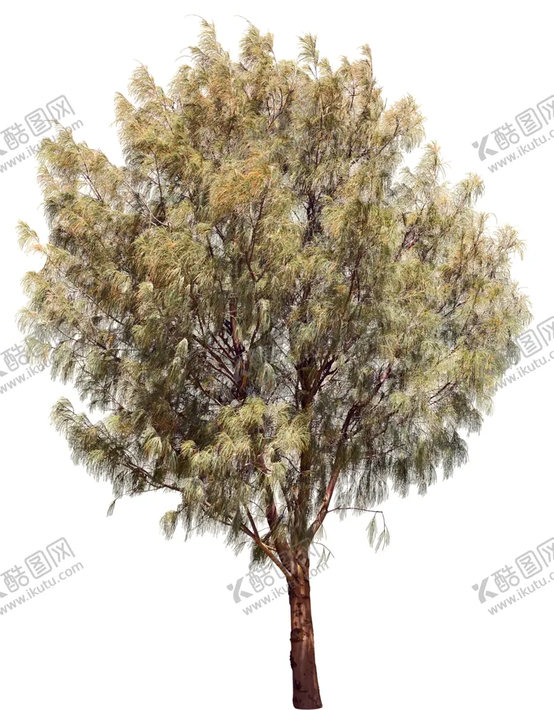编号：26773106280126278423【酷图网】源文件下载-免扣树木素材