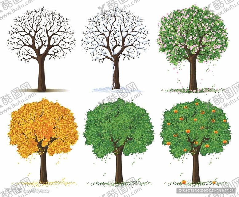 编号：46235704221543116771【酷图网】源文件下载-四季树木