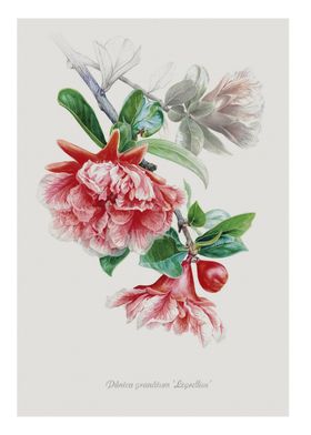 现代客厅手绘花卉装饰画