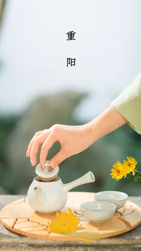 重阳节宣传海报活动