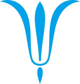 花纹图案