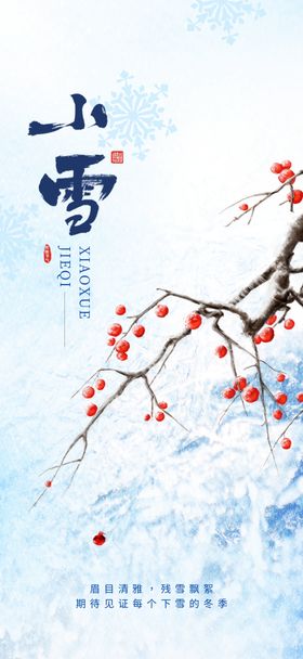 小雪24节气海报二十四节气