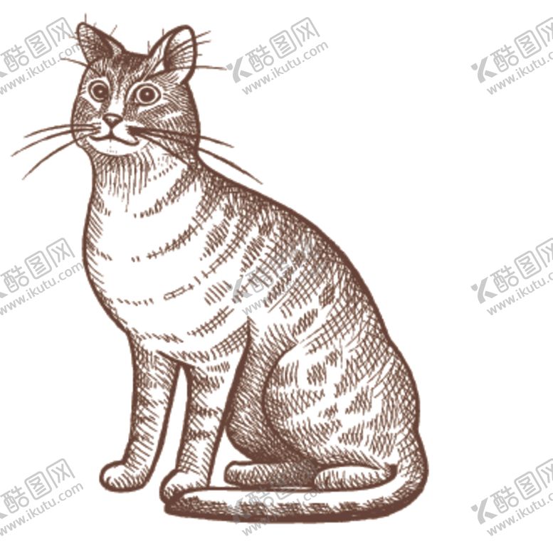 编号：50607109191950368456【酷图网】源文件下载-家养动物主题插画