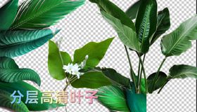 矢量可编辑叶子绿叶树叶图标图片