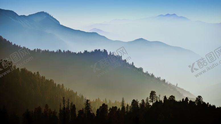 编号：69464609131713143604【酷图网】源文件下载-森林